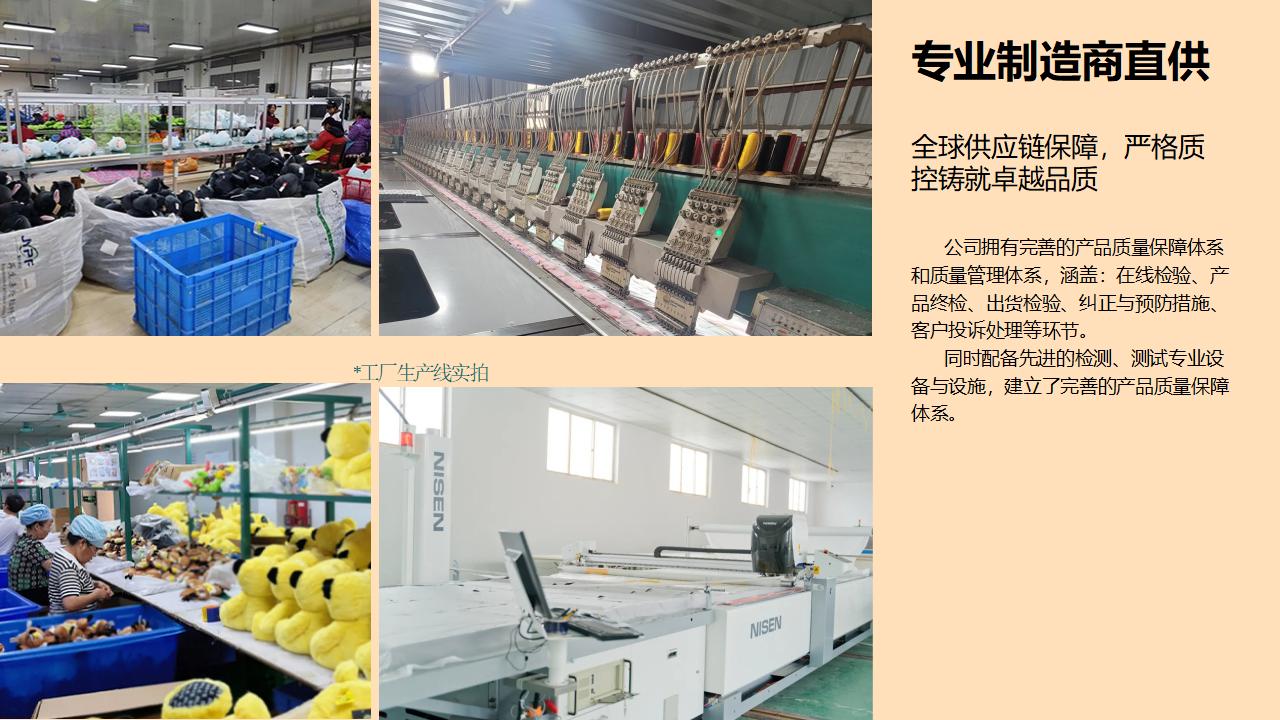 中文AI Companion Robot：Make care easier.pptx_16.jpg